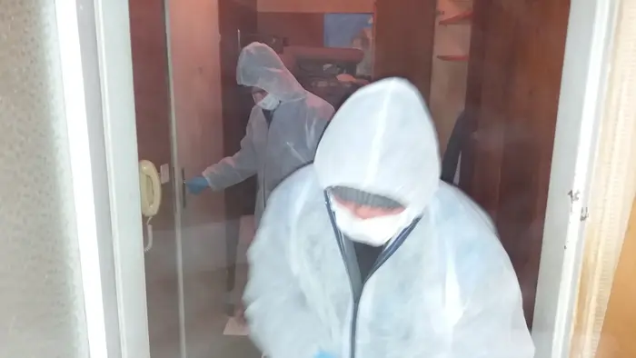 Професионална грижа за дом с котки