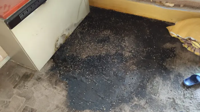 Професионално обеззаразяване след смърт