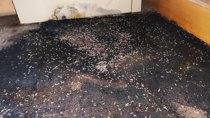 Специфични рискове за здравето при почистване след смърт