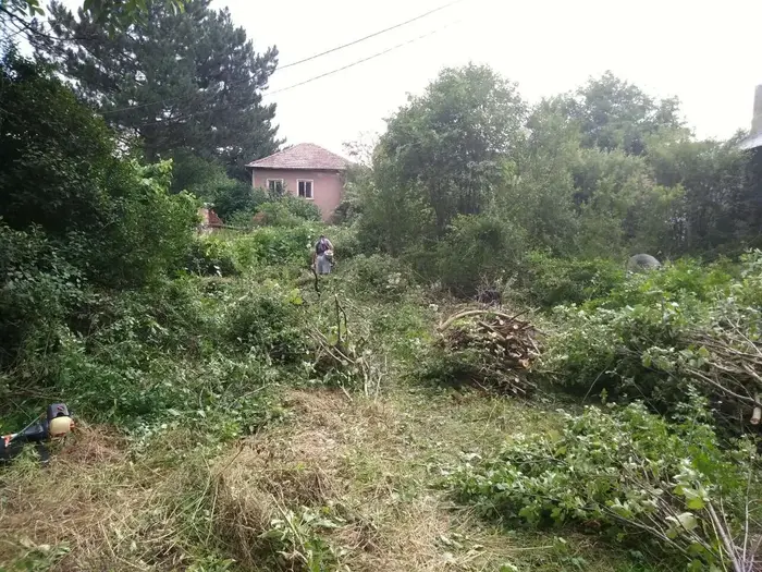 Подобряване на двора след занемаряване