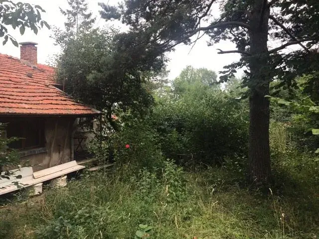 Обучение за безопасна работа в двора